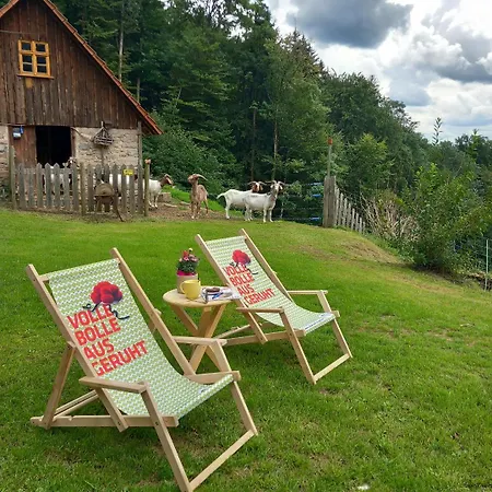 Deine Rauszeit Seebach