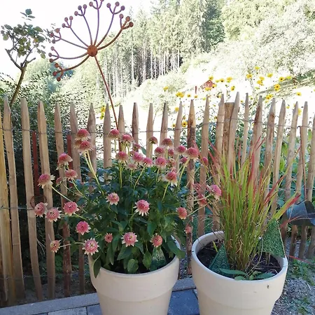 Deine Rauszeit 아파트