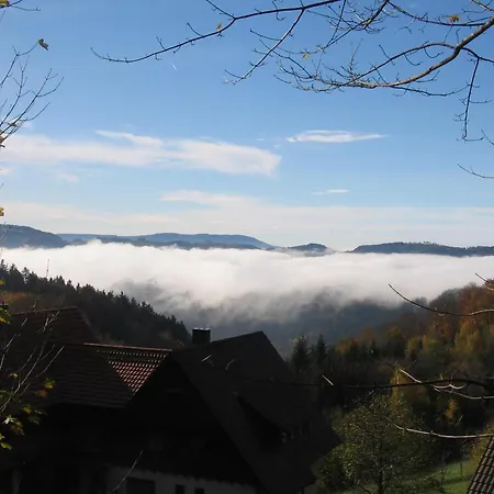 Deine Rauszeit