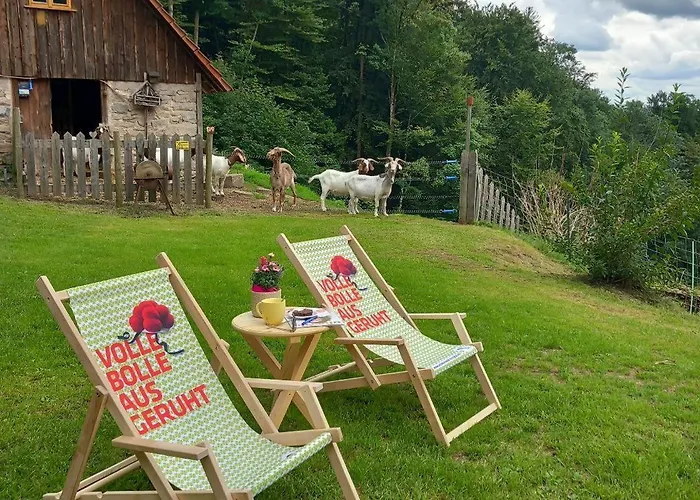 Deine Rauszeit Seebach