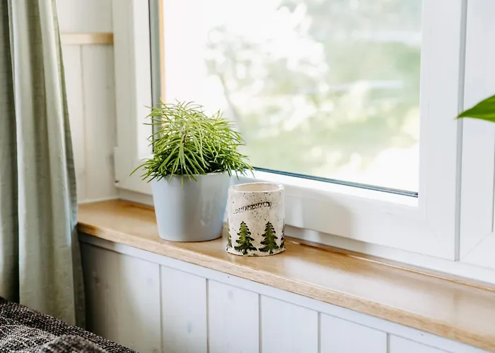 Deine Rauszeit Seebach